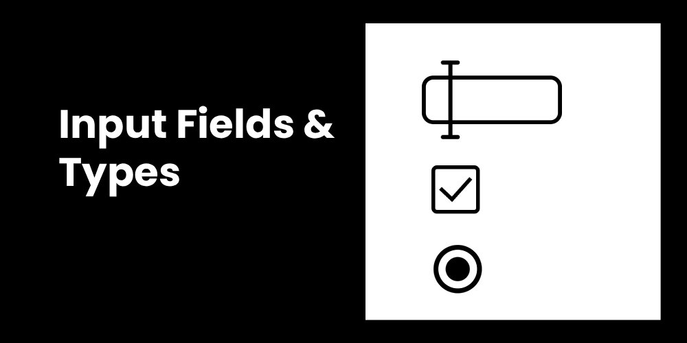 Inputs fields